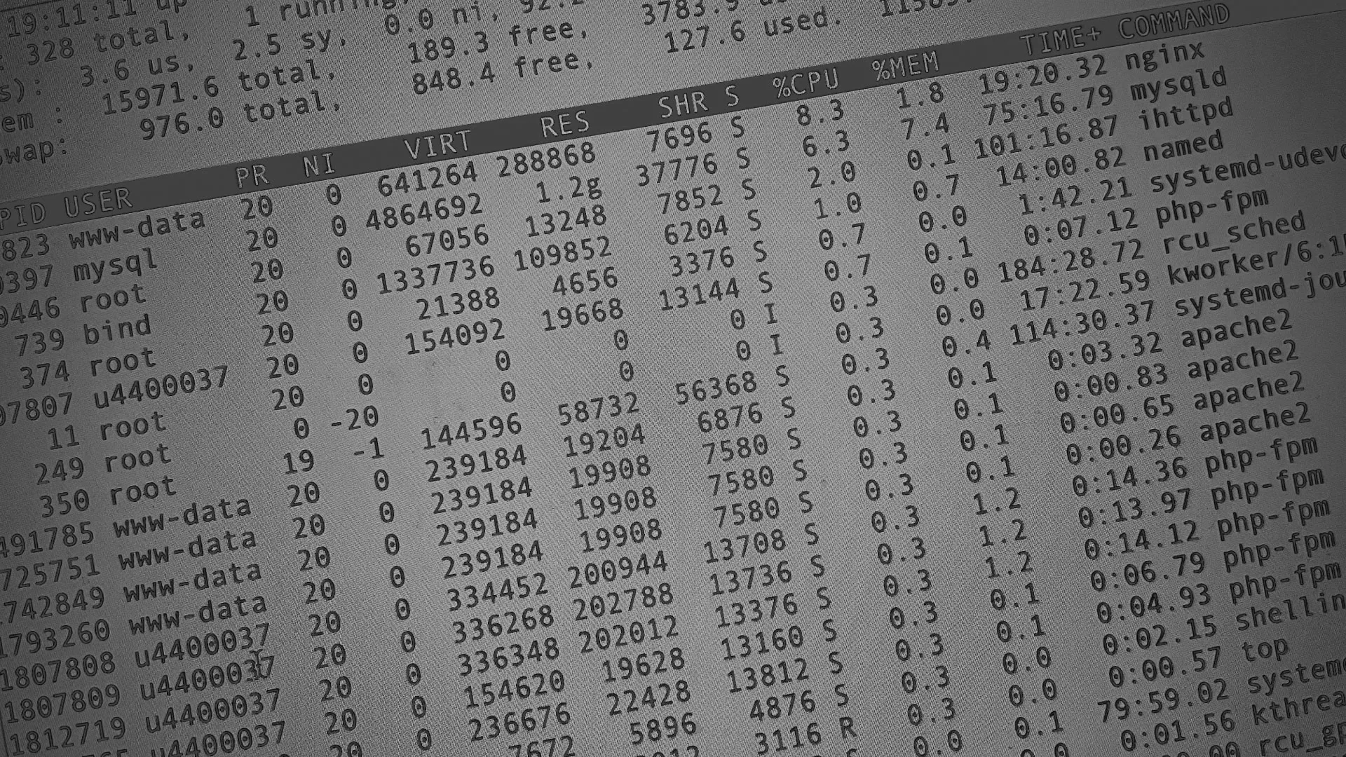 Настройка сервера в Ноябрьске